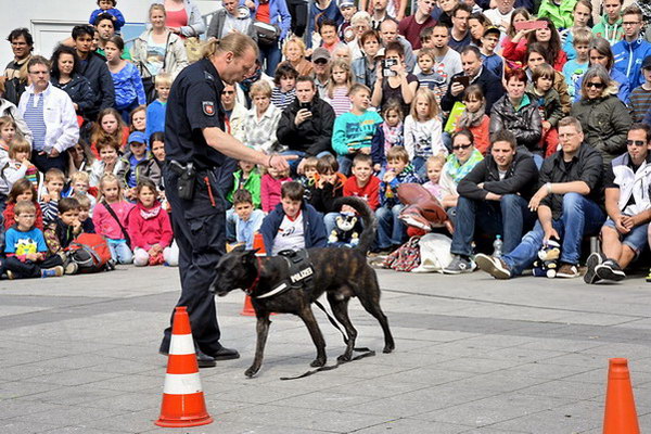 Polizeishow   031.jpg